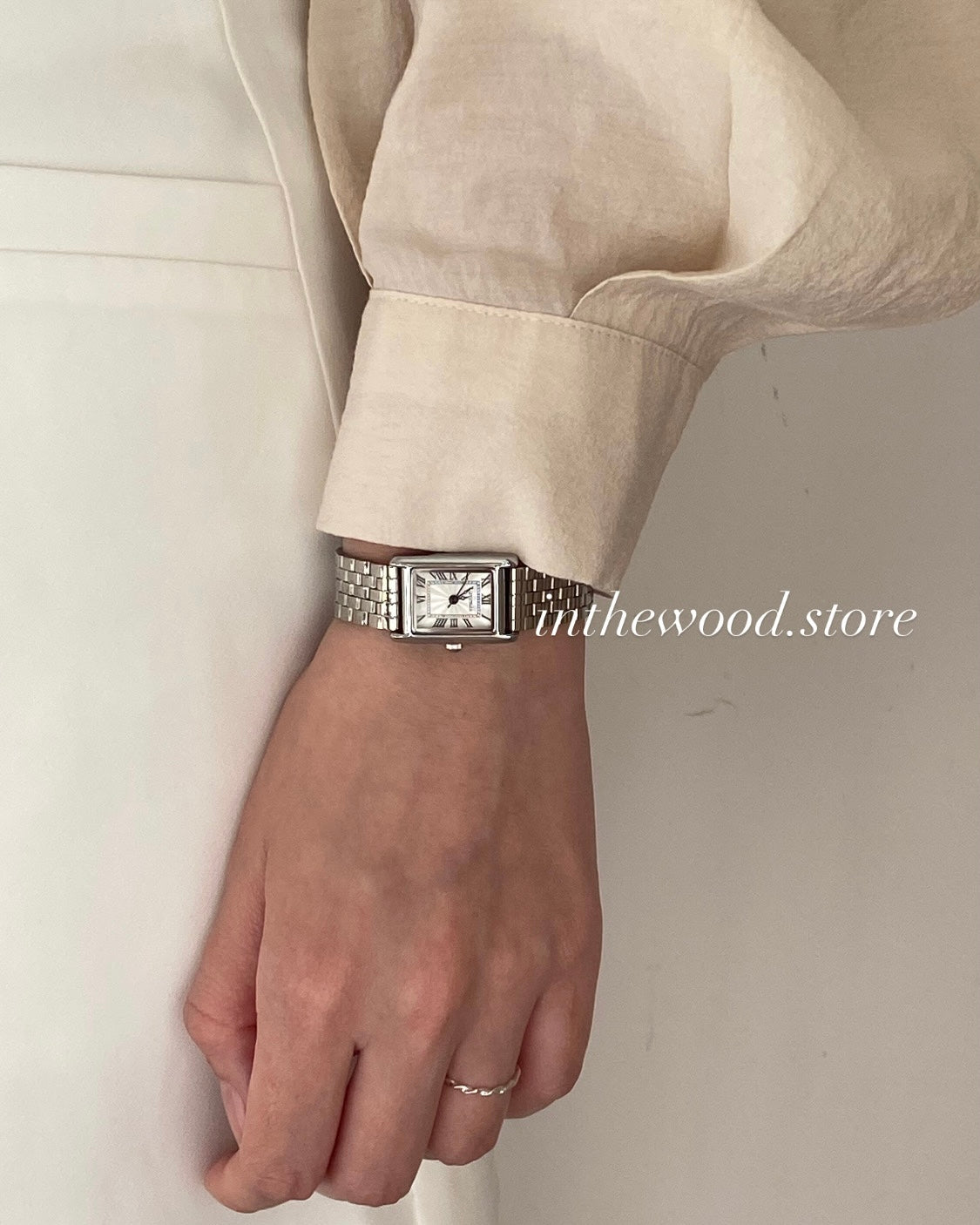 EVA Roma Steel Watch