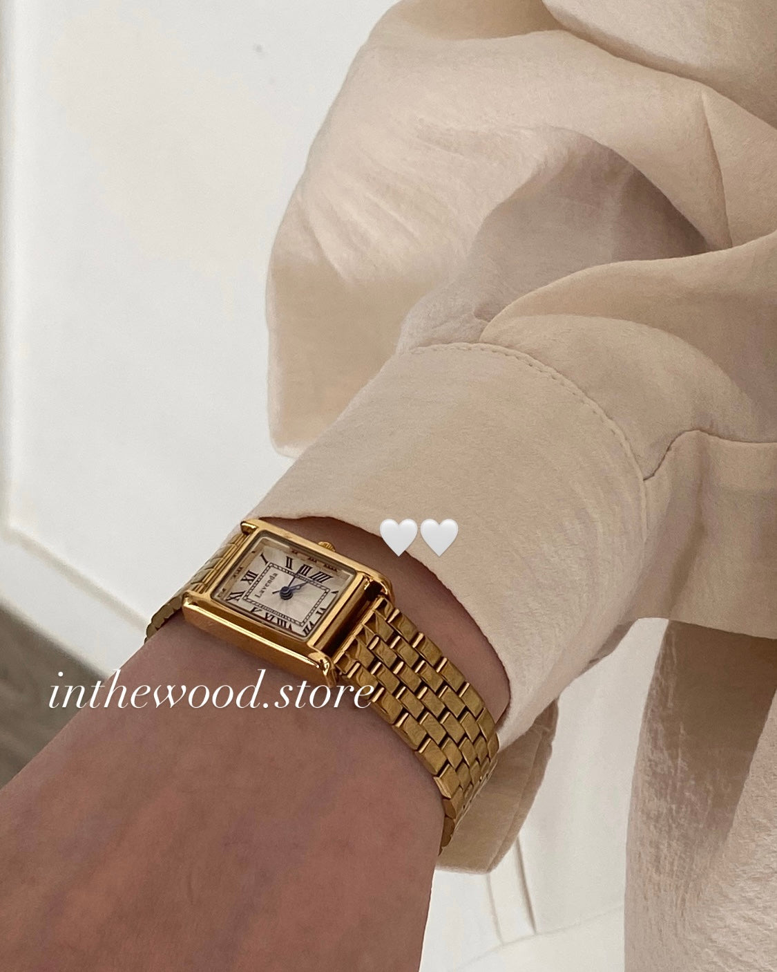 EVA Roma Steel Watch