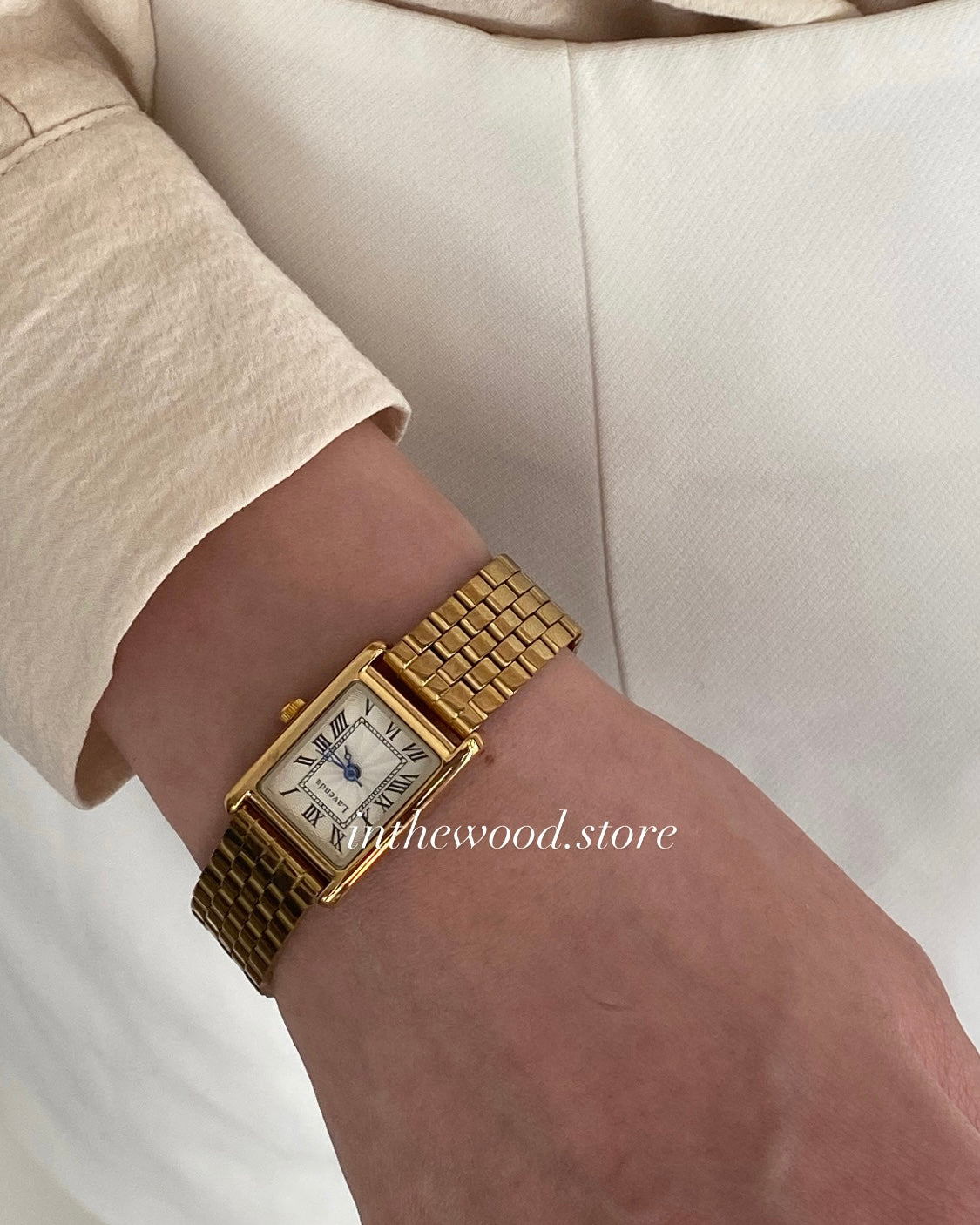 EVA Roma Steel Watch
