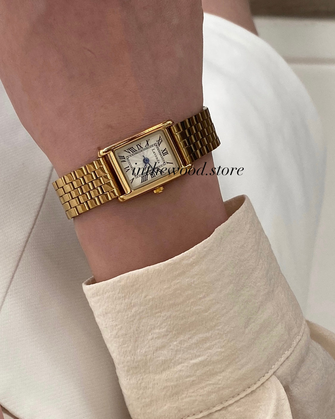 EVA Roma Steel Watch