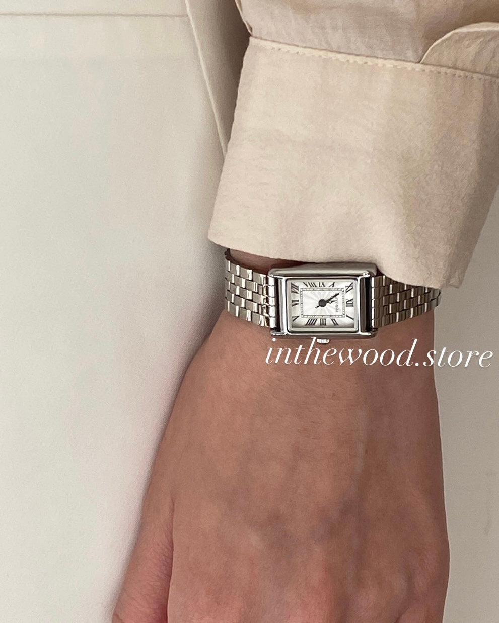 EVA Roma Steel Watch