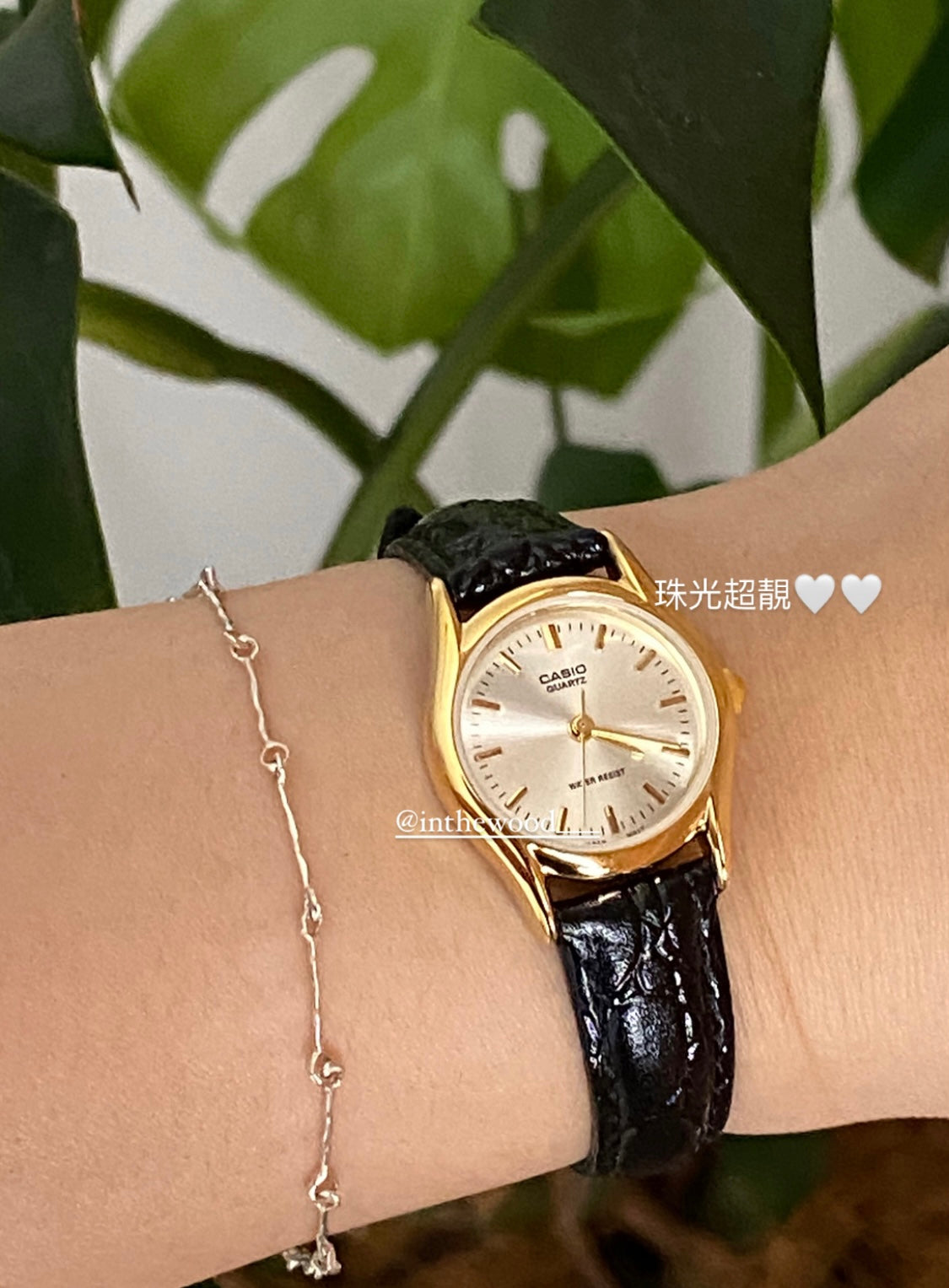 Welfare money🎀 CASIO #11