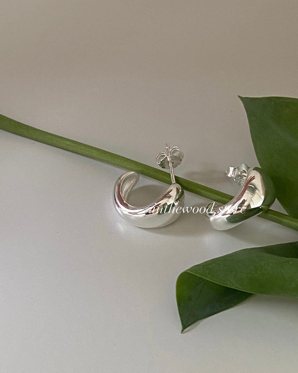 [925silver] Curve Earrings