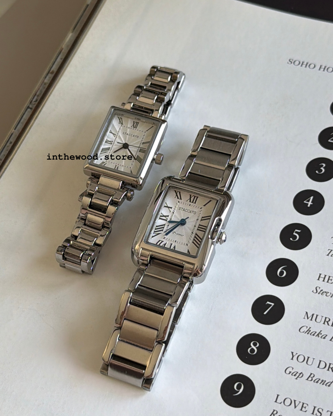Luna Classic Roma Steel Watch