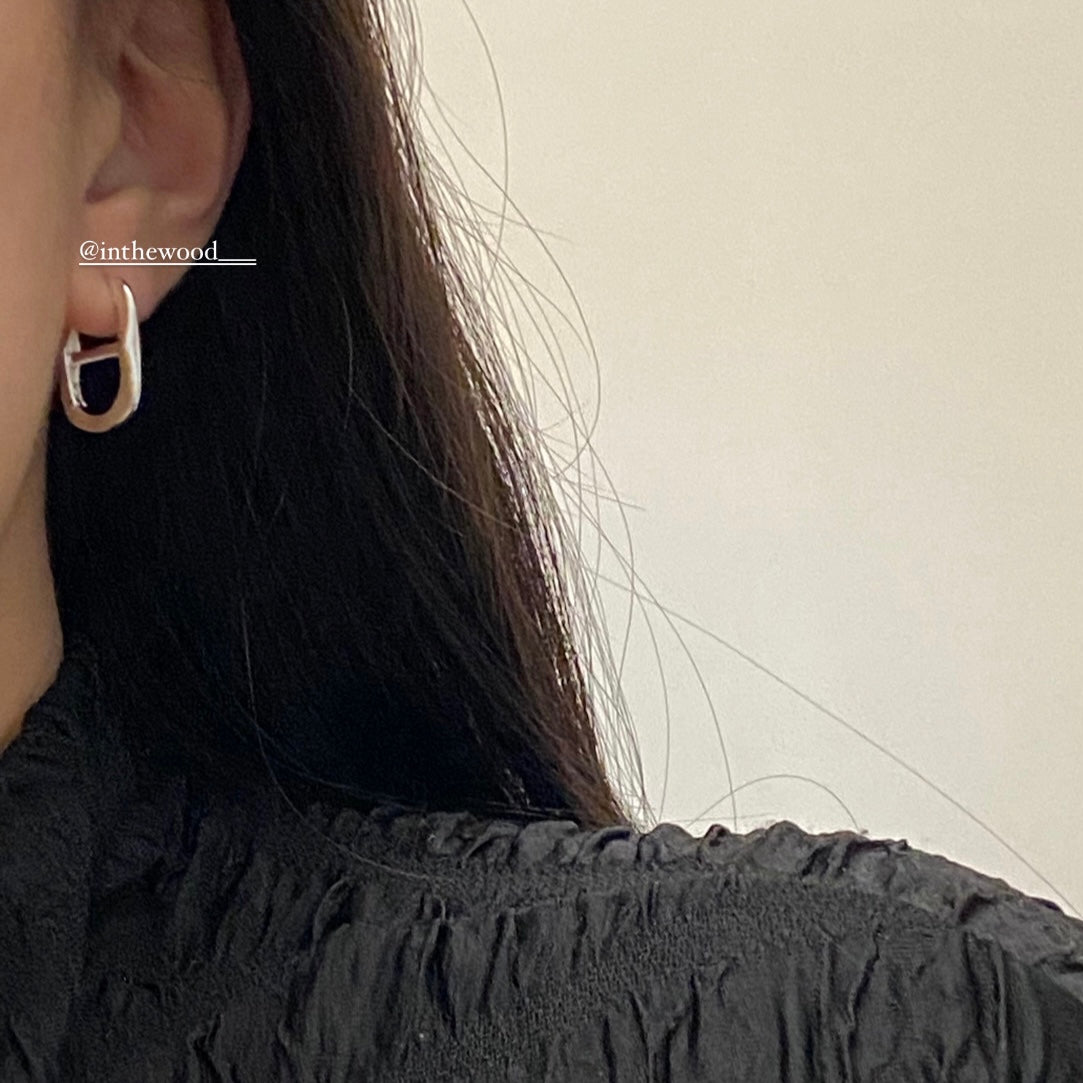 [925silver] Toggle Earrings #2 🐽
