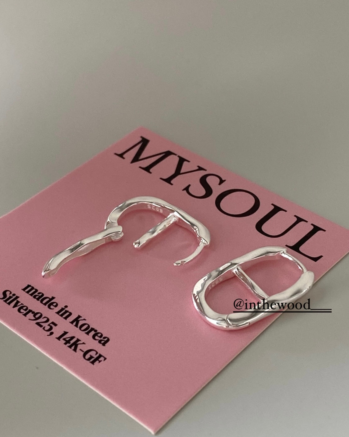 [925silver] Toggle Earrings #2 🐽