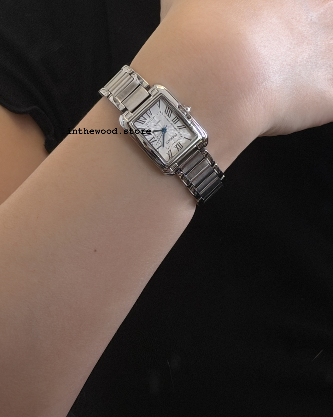 Luna Classic Roma Steel Watch
