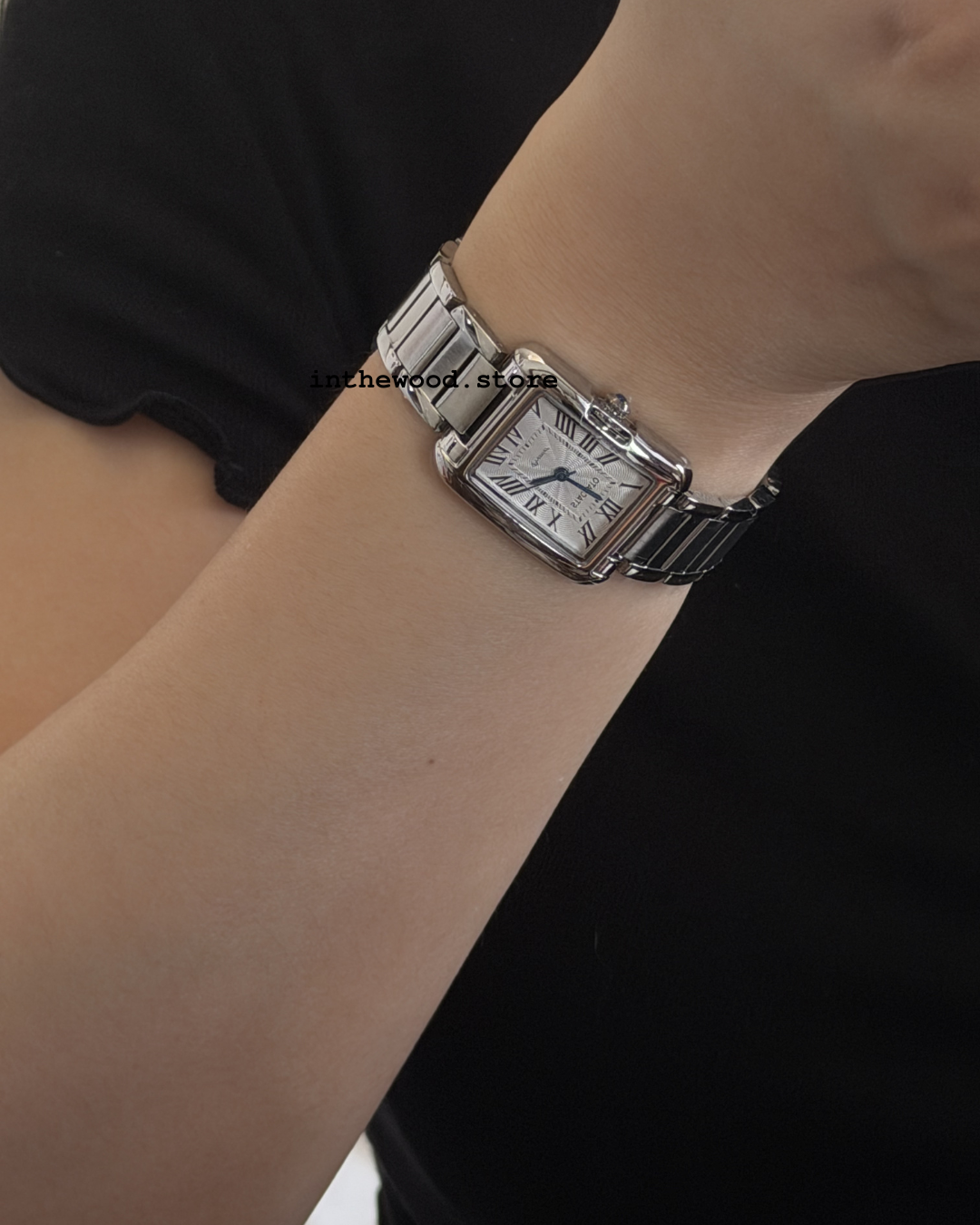Luna Classic Roma Steel Watch