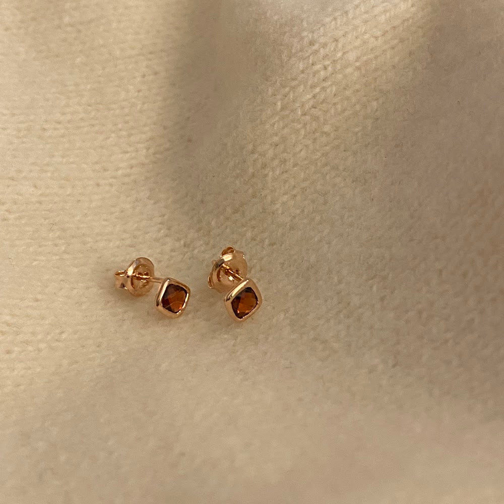 [925silver] Gorgeous Earrings